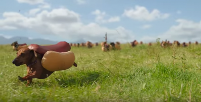 Wiener Race - Dachshund stampede in costumes