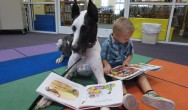 Dozer the therapy dog and child read a book