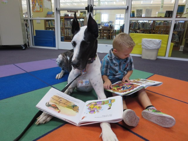 Dozer the therapy dog and child read a book 