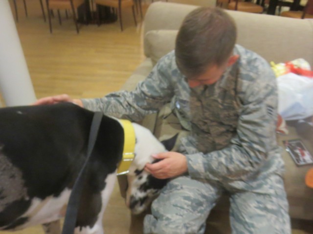 Dozer the therapy dog and war vet play