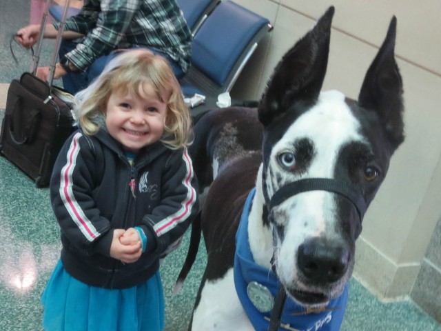 Dozer the therapy dog meets a very happy little girl