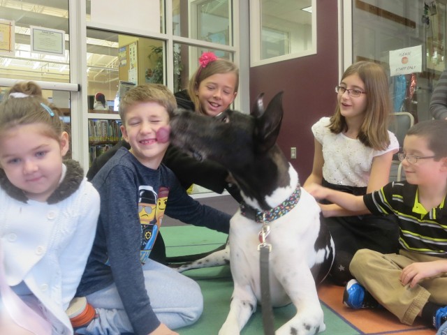 Dozer the therapy dog gives a kiss