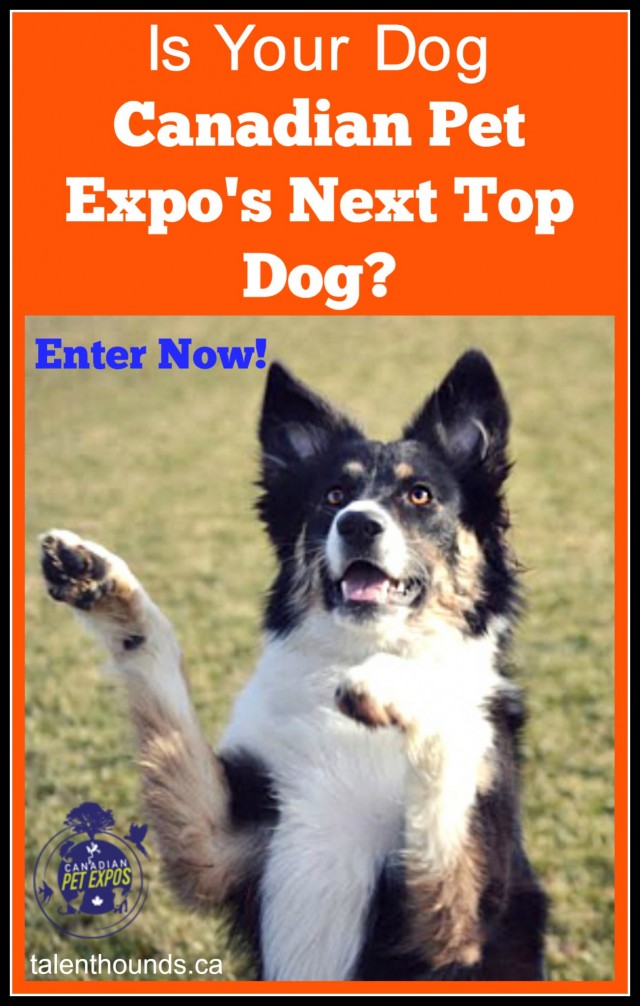 Canadas next top dog - Canadian pet expo