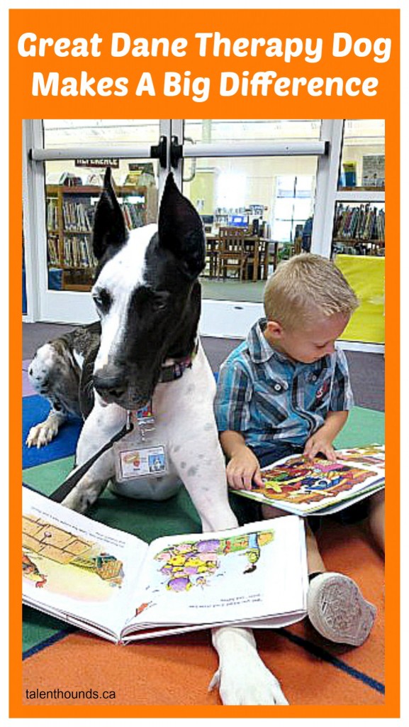 Great Dane Therapy Dog Makes A Big Difference- Dozer reads at the library with small boy