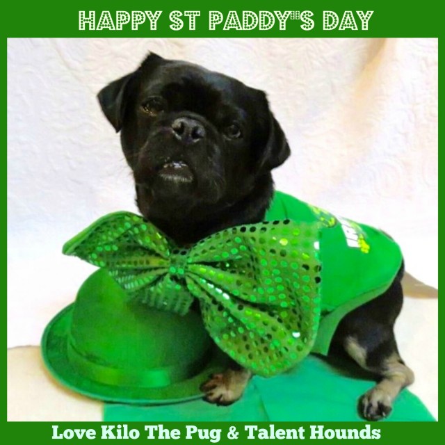 Happy St Paddy's Day love Kilo Pug