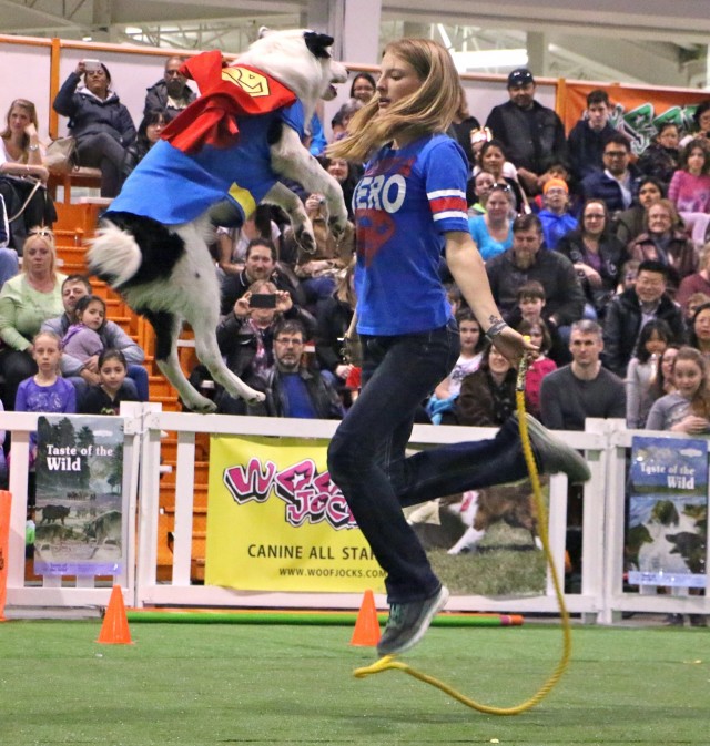 Sara and Hero the Border Collie skipping at CPE