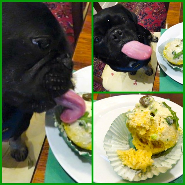 kilo loving pupcakes