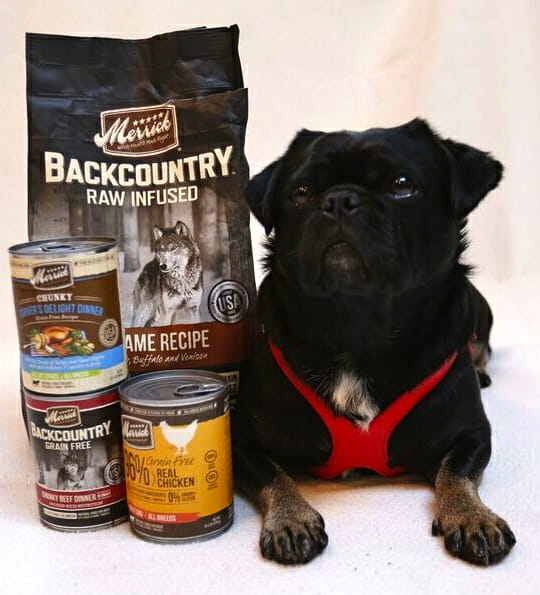 Kilo the pug poses with bag and cans of Merrick food