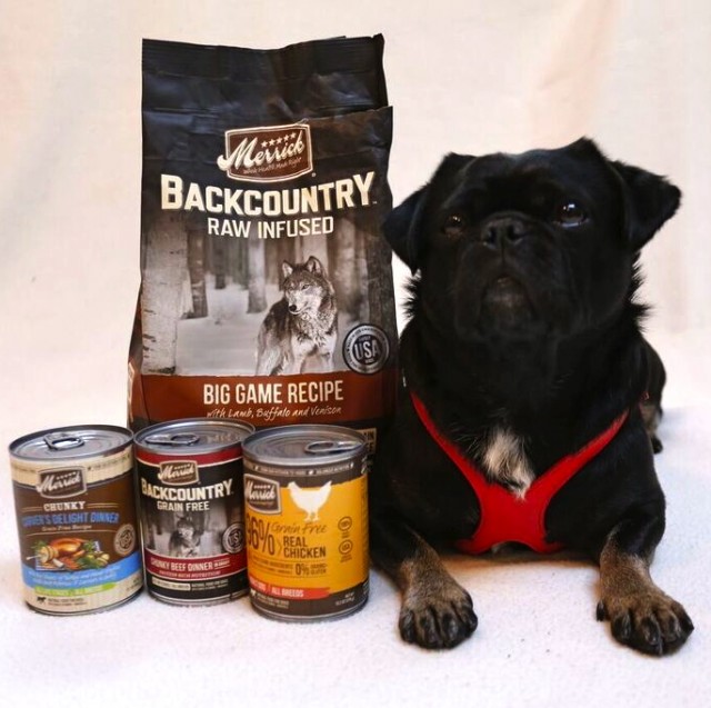 Kilo the pug poses with bag and cans of Merrick food