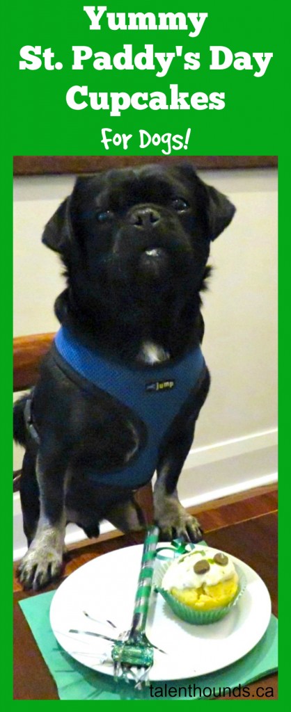 simple yummy st.paddy's day cupcakes for dogs