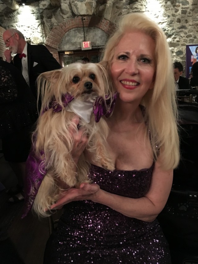 Gorgeous new yok yorkie Puccini and Mom