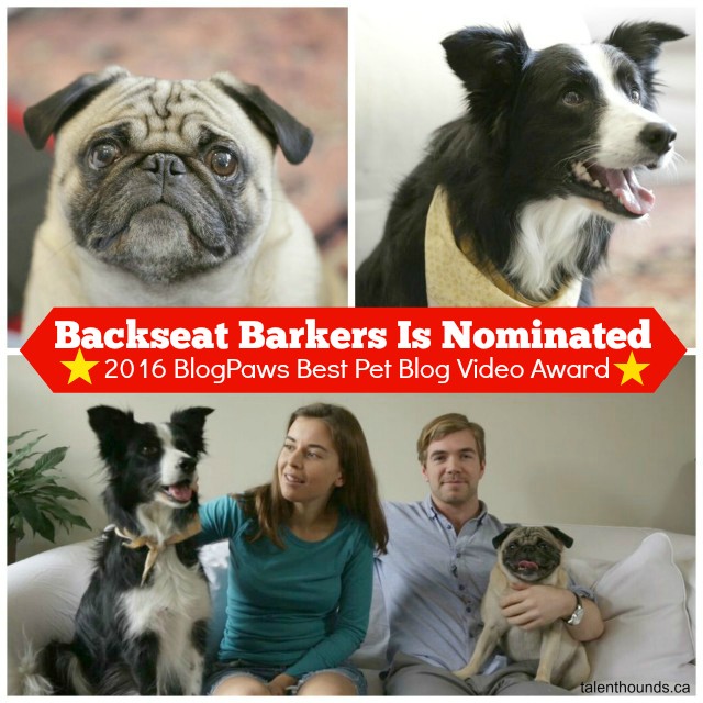 Backseat-Barkers-Nominated
