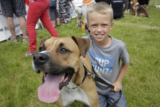 Little boy and tan dog