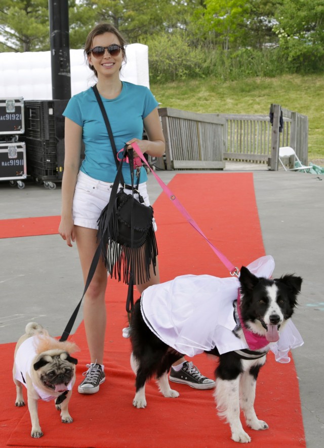 Fishstick, Sophie and Lottie walk the red carpet