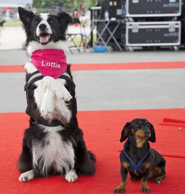 Lottie sits pretty for Crusoe