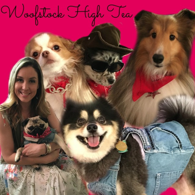 Woofstock 2016 high tea hoe down