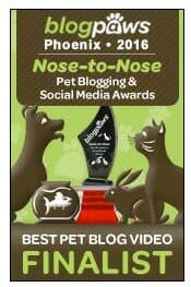 blogpaws_finalist