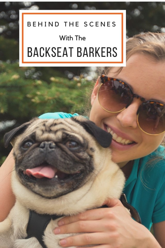 Behind the scenes with the Backseat Barkers