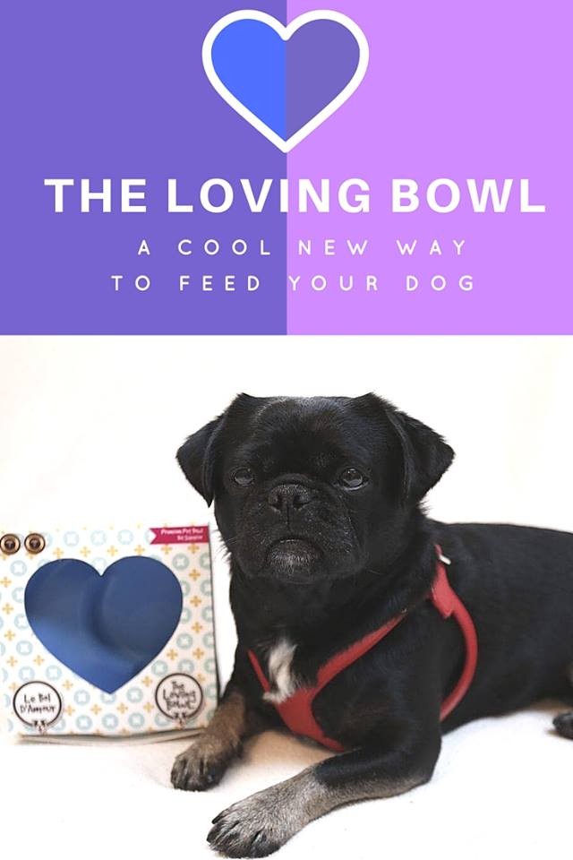 The Loving Bowl Is A Cool New Way To Feed Your Dog