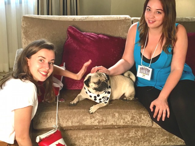 Doug, Angela from Talent Hounds and Sophie, the star of Backseat Barkers