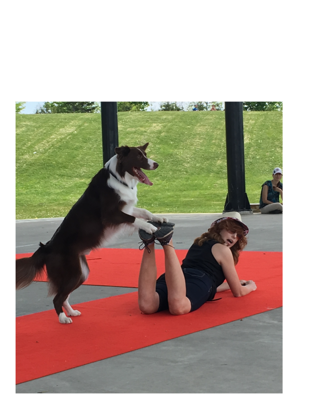 Maddisen & Rev the Border Collie