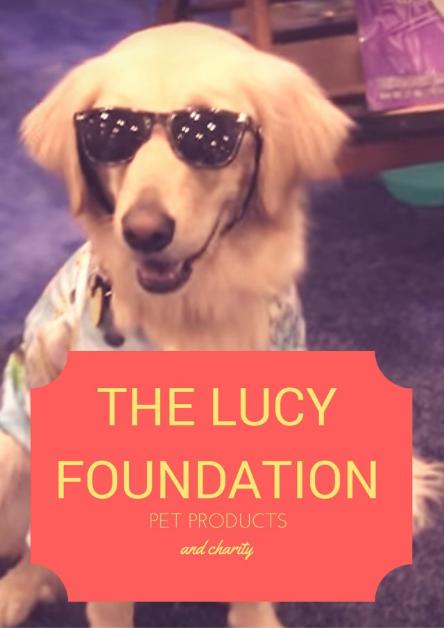 Graphic of a dog in sunglasses with the words "Lucy Pet Foundation Products and Charity"