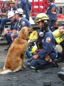 Denise and Bretagne during deployment to World Trade Center in 2001. Photo From Texas Task Force 1