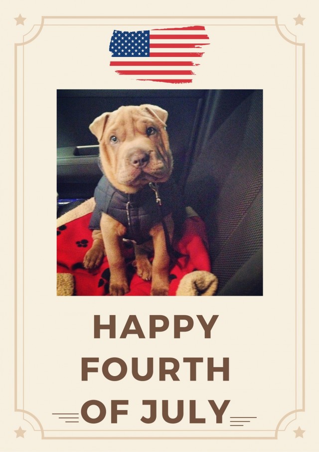 Happy 4th of july