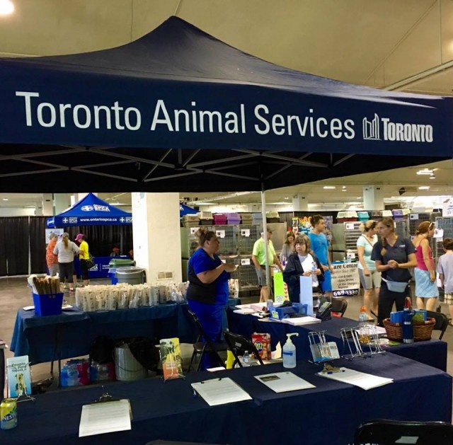 Toronto Animal Services of Toronto booth at Mega Pet Adoption Event