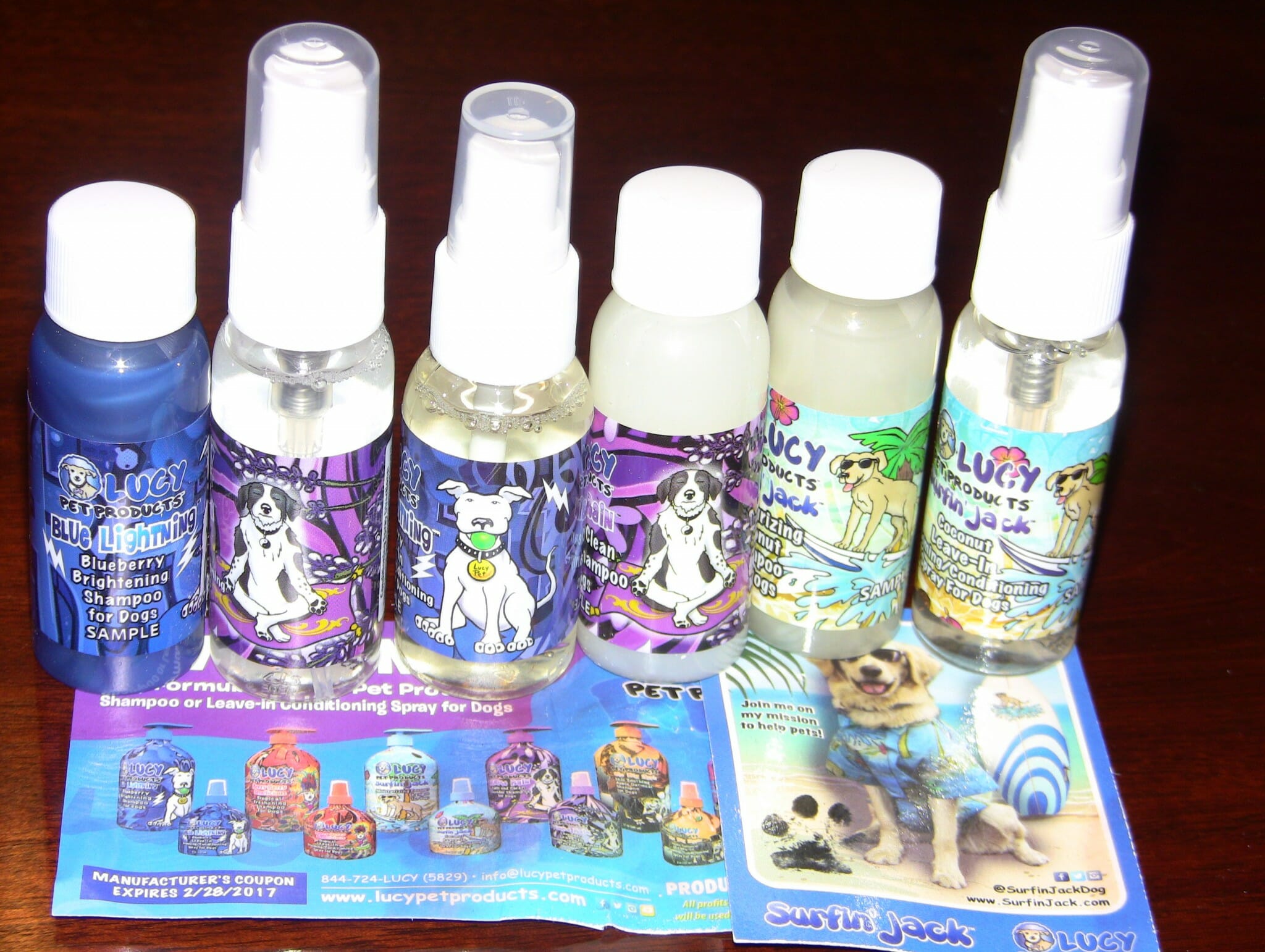 The Lucy Pet Foundation is Saving Animal Lives Talent Hounds