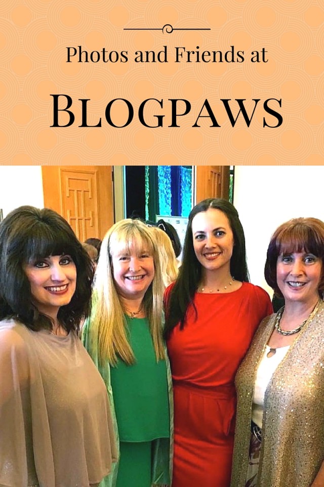 Must See BlogPaws 2016 Event Photos For Dog Lovers   