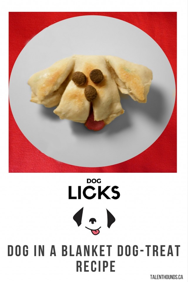 dog in a blanket treat recipe