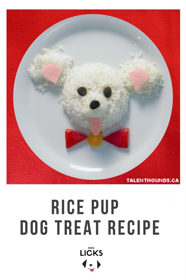 rice pup dog treat recipe