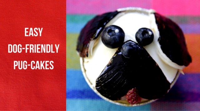 easy pug cake recipe