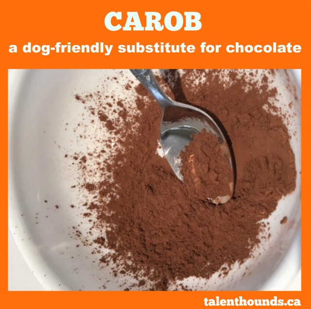 Carob is a tasty healthy dog-friendly substitute for chocolate
