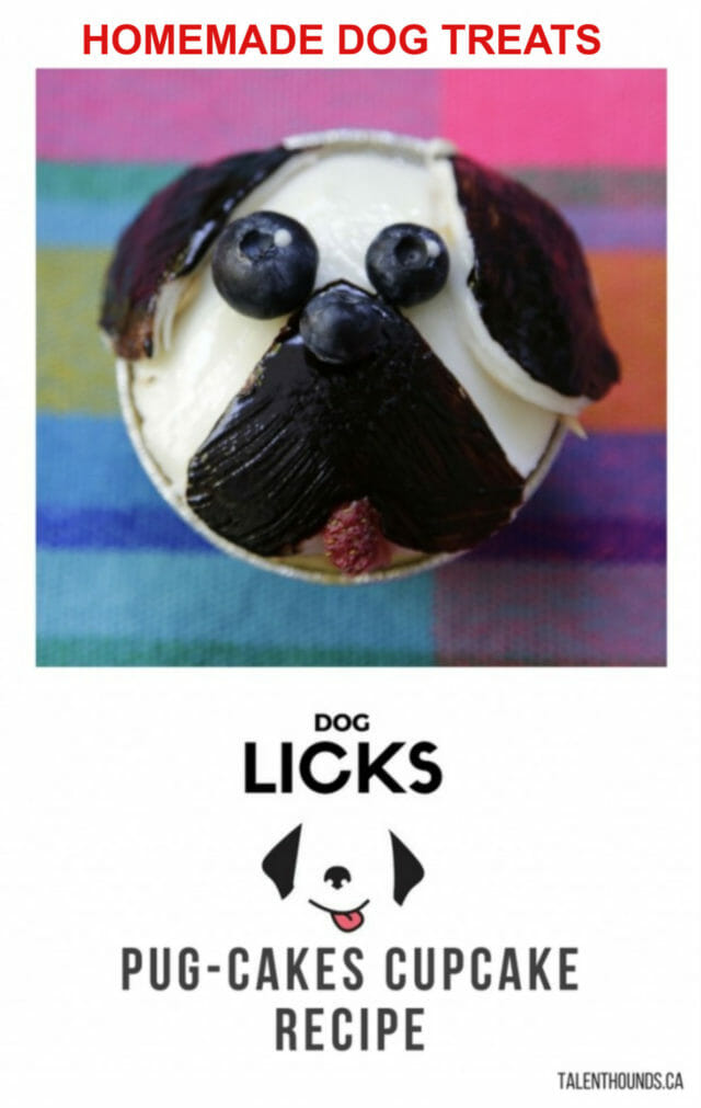 Check out our delicious easy Homemade Dog Cupcakes or Pug-cakes perfect for any birthday party -a Dog Licks Recipe.jpg