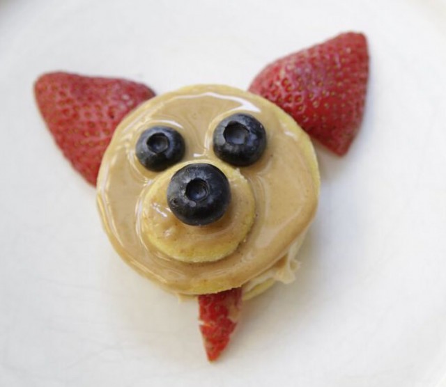 Dog Licks Dog friendly ice cream sandwich pup face