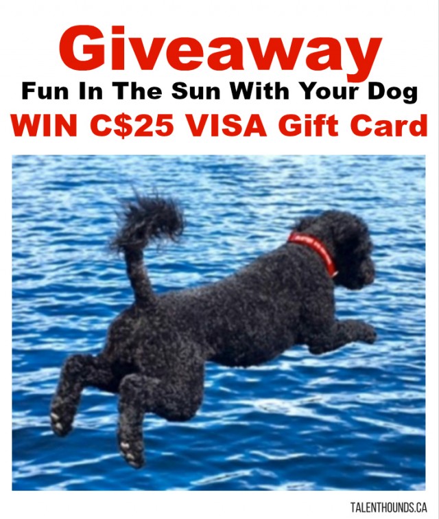 Giveaway- Fun In The Sun With Your Dog - WIN C$25 VISA Gift Card