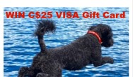 Giveaway for Fun in the sun with your dog -Win C$25 VISA gift card