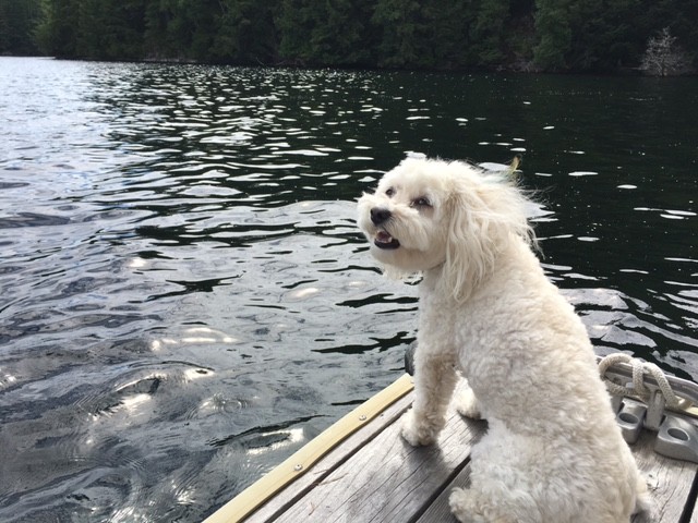 Maya at the Lake