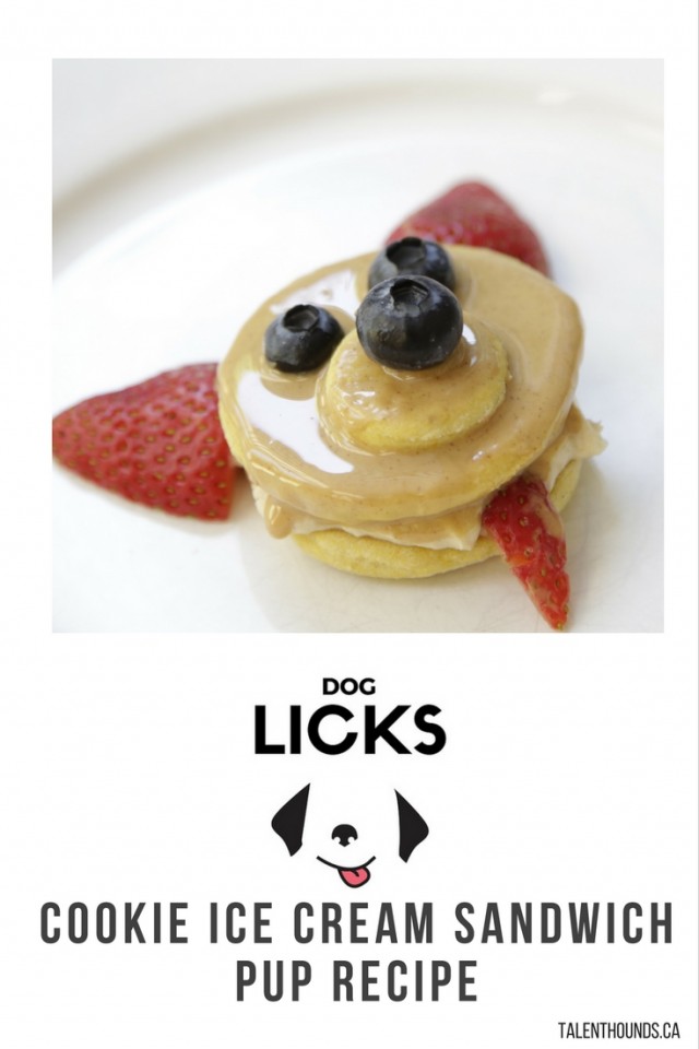 Find out the recipe for Dog Licks delicious dog-friendly homemade ice cream sandwiches that look like puppies- YUM