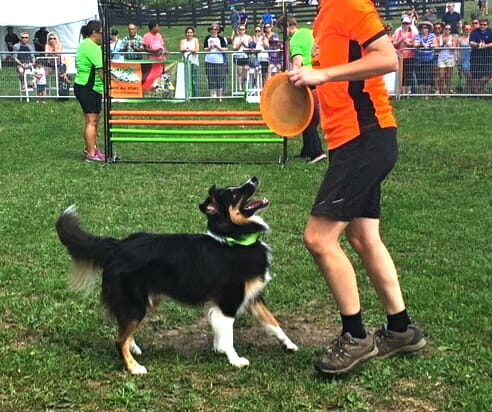 Woofjocks member gets ready to perform at Dog Tales Festival