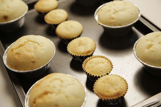 Dog Licks dog friendly pupcake pugs baked cupcakes on tray