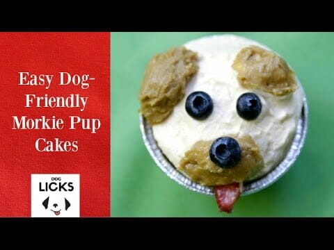 How To Make Adorable Morkie Cupcakes – Dog Licks Recipe