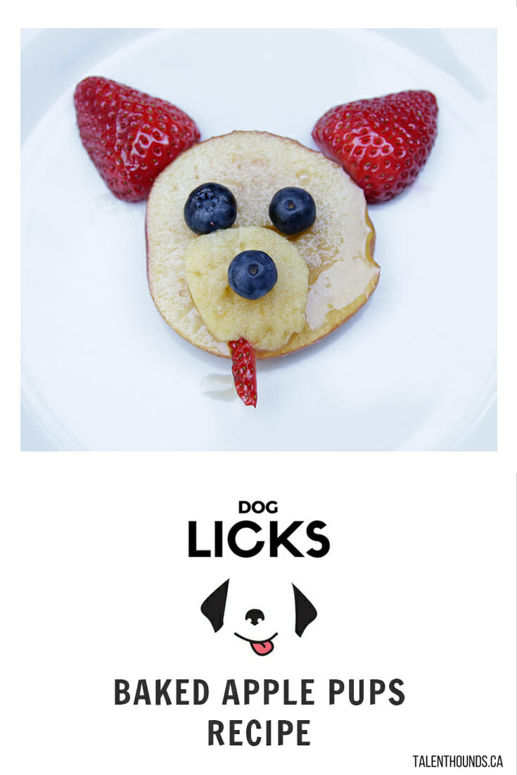 Try our delicious easy Talent Hounds Dog Licks Recipe for Homemade Baked Apple Dog Treats