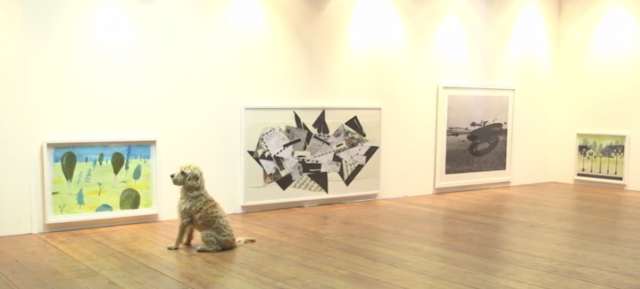 canine-art-exhibition-photo-of-gallery
