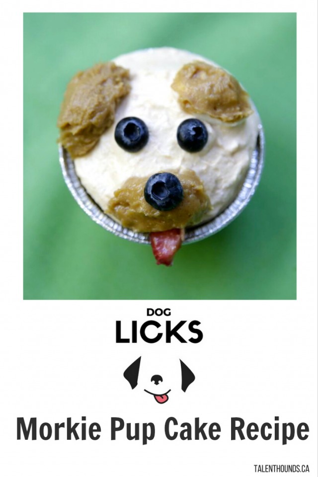 dog-licks-recipe-morkie-pup-cake