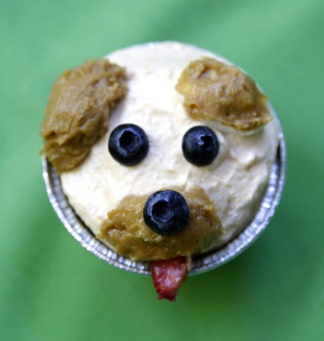 dog-licks-recipe-pup-cake-close-up-on-green
