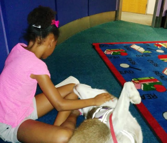 girl-give-siberian-husky-therapy-dog-a-belly-rub