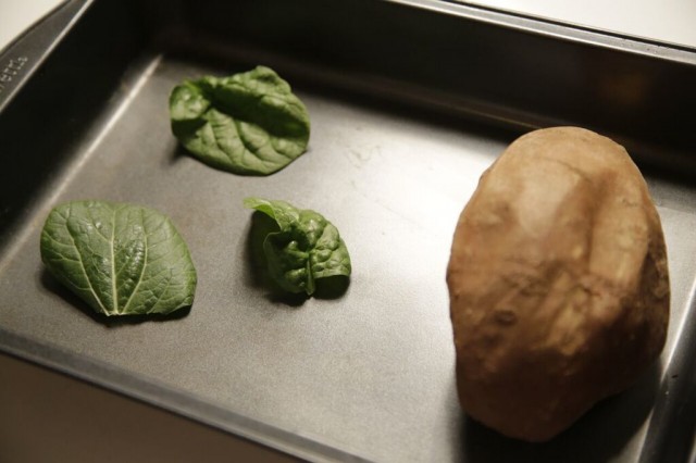 spinache-and-sweet-potato-in-baking-tray-for-dog-licks-sweet-potato-pups